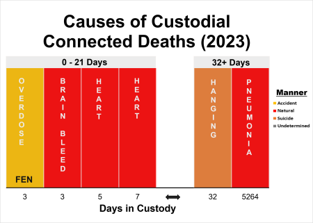 Causes of Custodial Connected Death for the year 2023