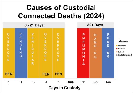 Custodial Connected Deaths Data for 2024