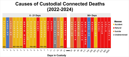 Causes of Custodial Connected Deaths for the years 2022-2024