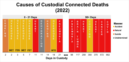 Causes of Custodial Connected Deaths 2022