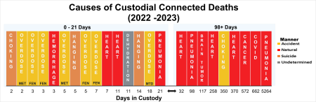 Causes of Custodial Connected Deaths for the years 2022-2023